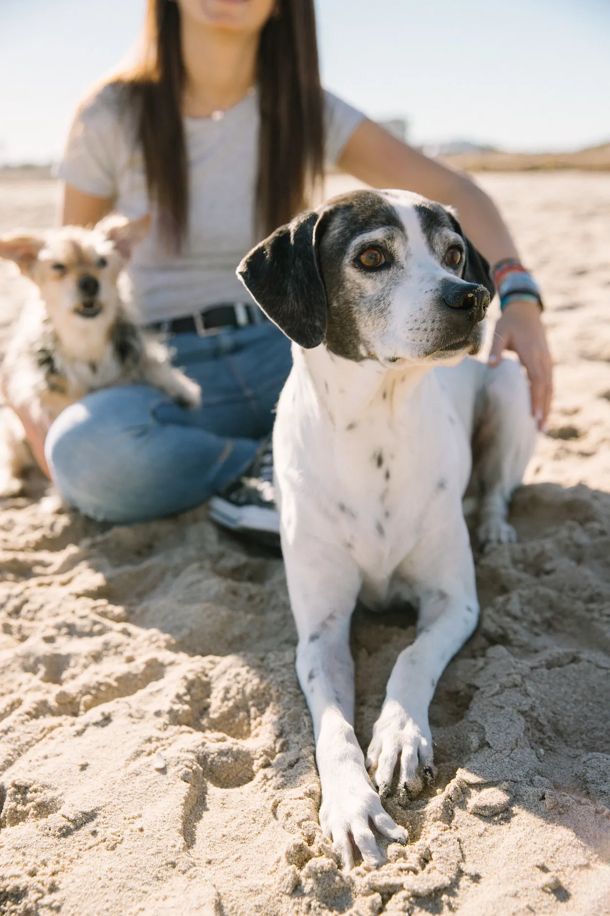 Chica con sus dos perros en la playa disfrutando de un buen momento - Foto 11