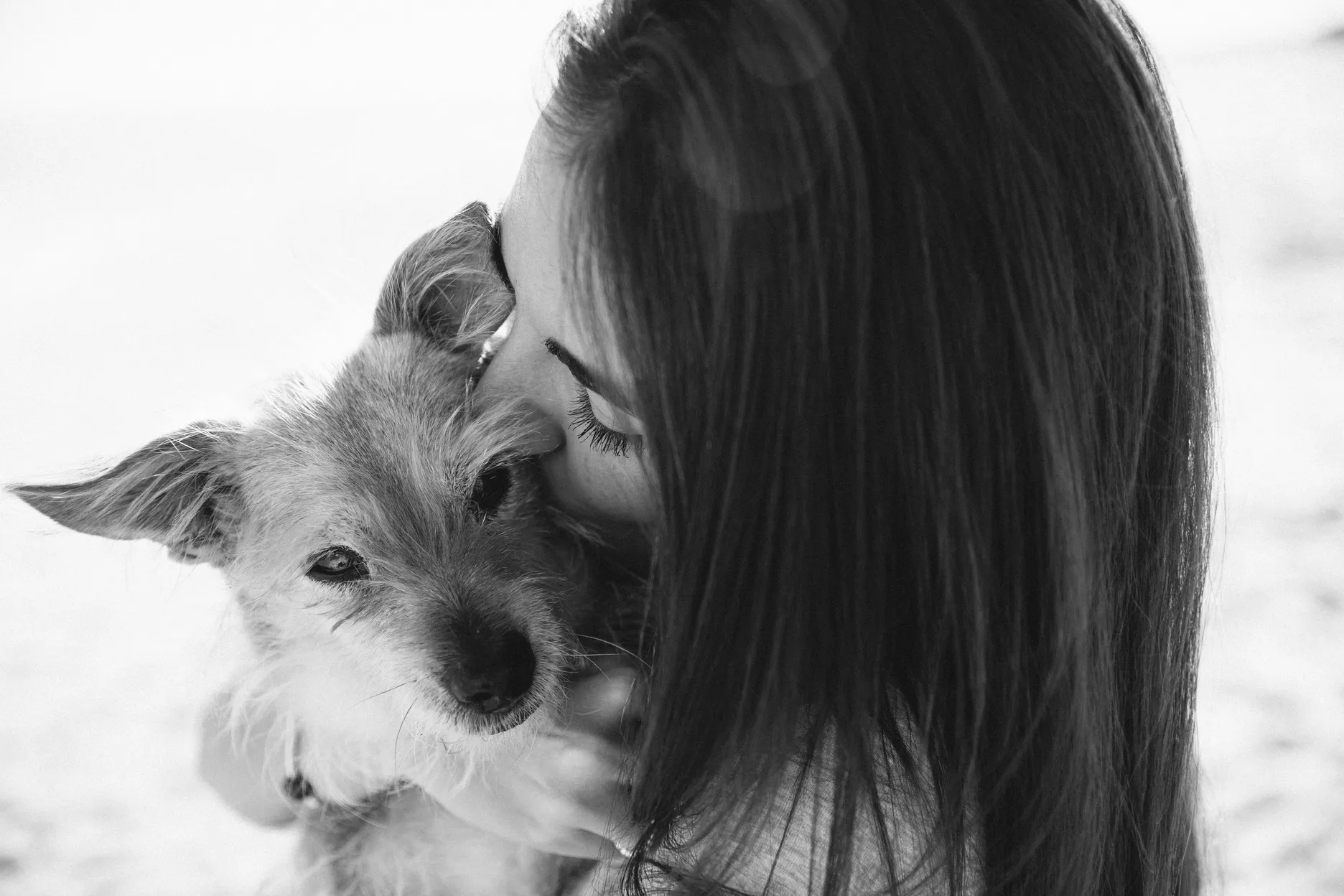 Chica con sus dos perros en la playa disfrutando de un buen momento - Foto 13
