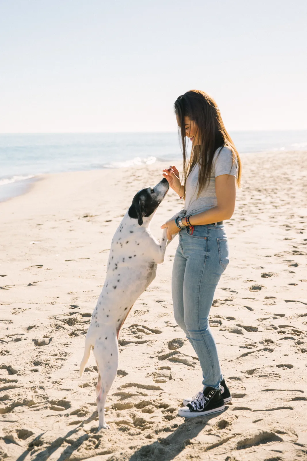 Chica con sus dos perros en la playa disfrutando de un buen momento - Foto 16