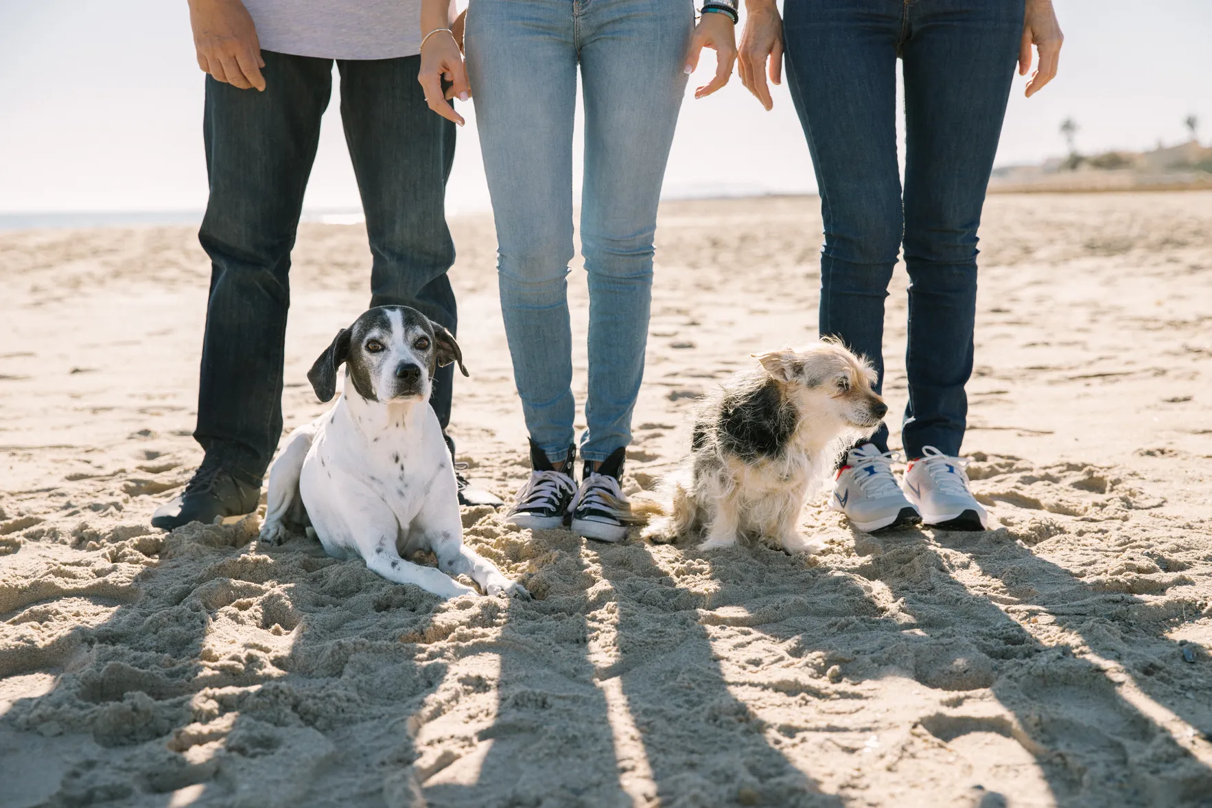 Chica con sus dos perros en la playa disfrutando de un buen momento - Foto 3