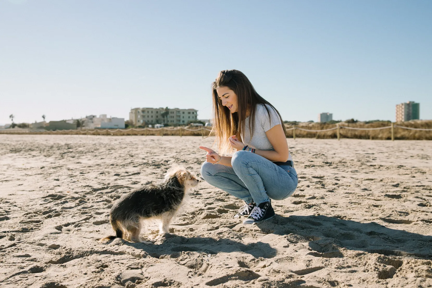Chica con sus dos perros en la playa disfrutando de un buen momento - Foto 5
