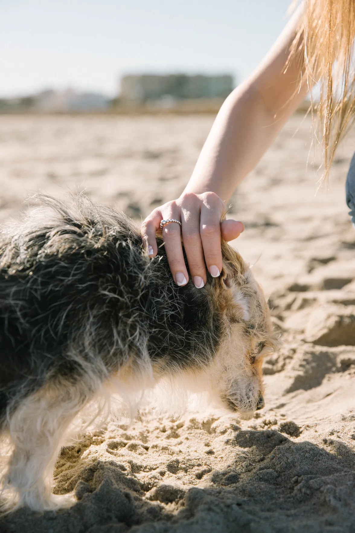 Chica con sus dos perros en la playa disfrutando de un buen momento - Foto 6