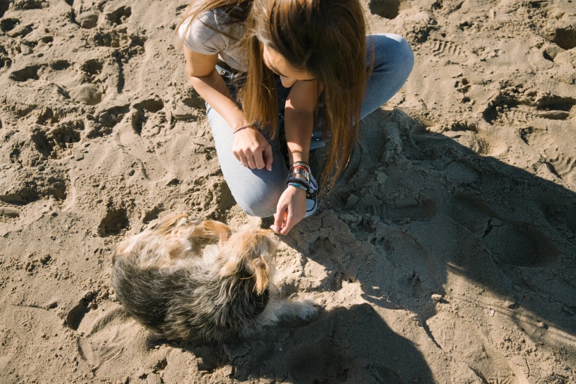 Chica con sus dos perros en la playa disfrutando de un buen momento - Foto 8